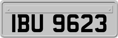 IBU9623