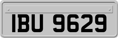 IBU9629