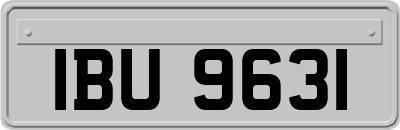 IBU9631