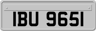 IBU9651