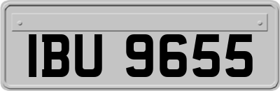 IBU9655