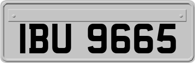 IBU9665