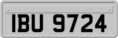 IBU9724