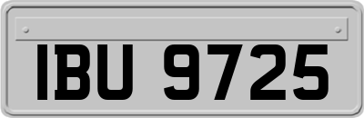 IBU9725