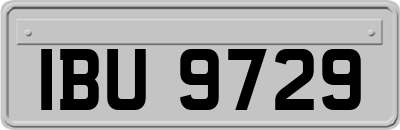 IBU9729