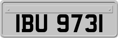 IBU9731