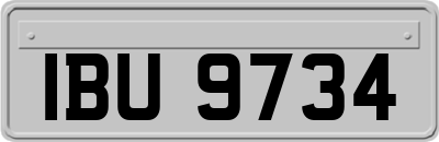 IBU9734