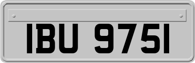 IBU9751