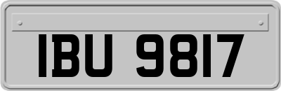 IBU9817