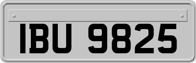 IBU9825
