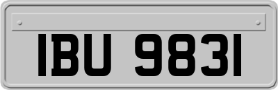 IBU9831