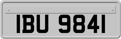 IBU9841