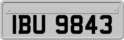 IBU9843