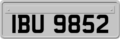 IBU9852