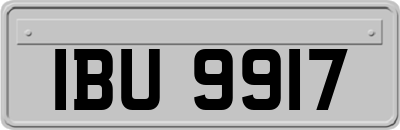 IBU9917