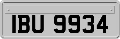 IBU9934