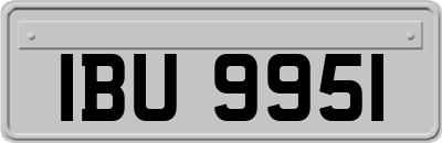 IBU9951
