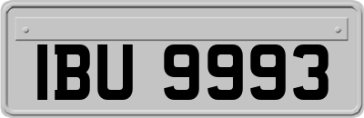 IBU9993