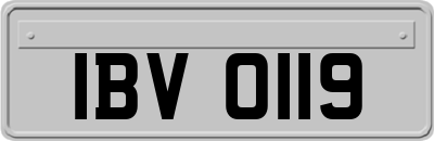 IBV0119