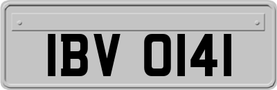 IBV0141