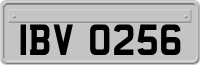 IBV0256