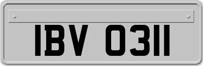 IBV0311