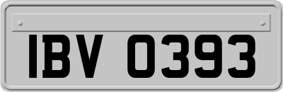 IBV0393