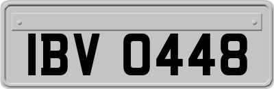 IBV0448