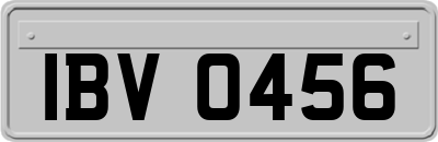 IBV0456