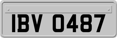 IBV0487