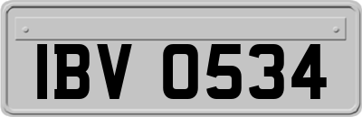 IBV0534
