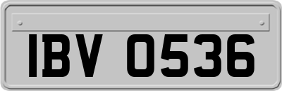 IBV0536