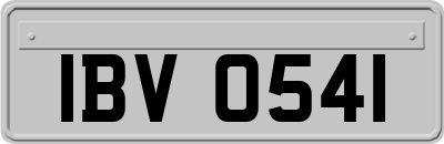 IBV0541