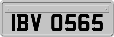 IBV0565