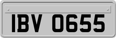 IBV0655