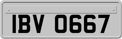 IBV0667