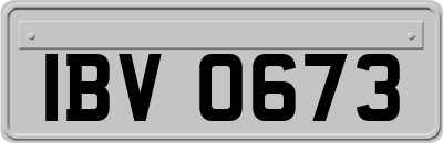 IBV0673