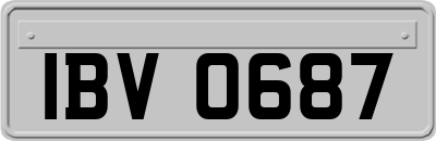 IBV0687