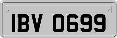 IBV0699