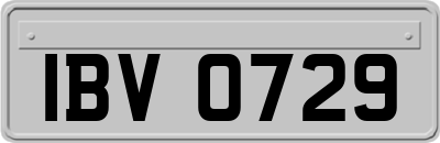 IBV0729