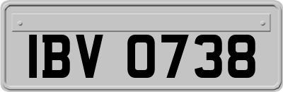IBV0738