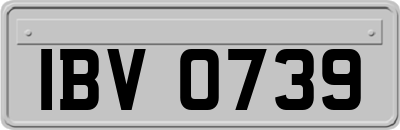IBV0739