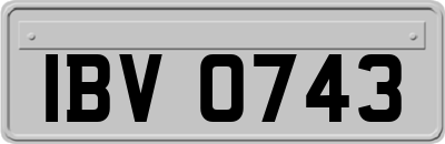 IBV0743