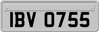 IBV0755