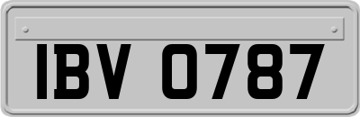 IBV0787