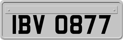 IBV0877