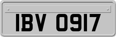 IBV0917