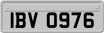 IBV0976