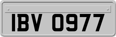 IBV0977
