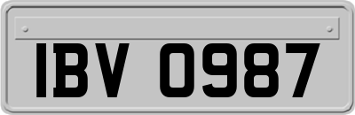 IBV0987